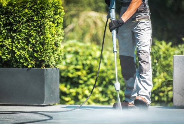 Best Patio and Deck Pressure Washing  in Andale, KS